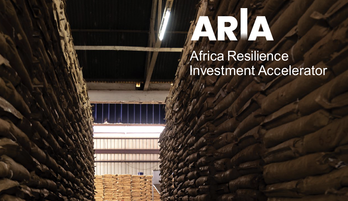 ARIA Foundations of Growth report 2 cover