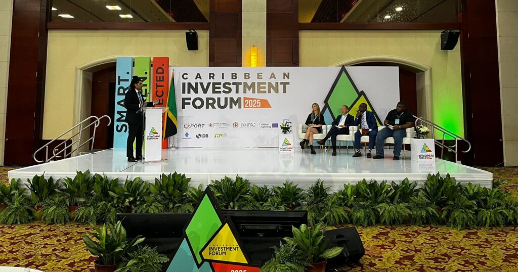 Panel at Afri-Caribbean Investment Forum 2025